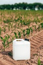 Blank white herbicide canister mockup can in corn seedling field in springtime sunset Royalty Free Stock Photo