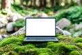 Blank white laptop monitor on forest moss. Product presentation Royalty Free Stock Photo