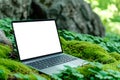 Blank white laptop monitor on forest moss. Product presentation and advertisement concept. Royalty Free Stock Photo