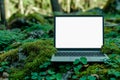 Blank white laptop monitor on forest moss. Product presentation and advertisement concept. Royalty Free Stock Photo