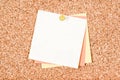 Blank white note on a corkboard Royalty Free Stock Photo