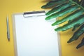 Blank white notepaper with tropical leaves laying on yellow Royalty Free Stock Photo