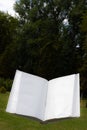 Blank white open book on a uniform backgroundblank white open book Royalty Free Stock Photo