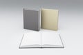 Blank white pages of opened book in front two others Royalty Free Stock Photo