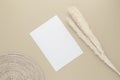 Blank white paper on beige background with reed grass flower, Beige workplace composition, flat lay, mockup