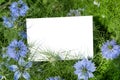 Blank white paper on blue flowers and leaves. Top view