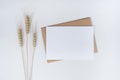 Blank white paper on brown paper envelope with Ã Â¸Âº Barley dry flower. Mock-up of horizontal blank greeting card. Top view of Craft