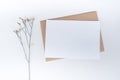 Blank white paper on brown paper envelope with Limonium dry flower. Mock-up of horizontal blank greeting card. Top view of Craft