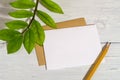 Blank white paper card, simple pencil and fresh green leaves of eternity Zuzu plant or Zamioculcas zamiifolia on a white wood