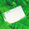 Blank white paper on a green leaves. Top view Royalty Free Stock Photo