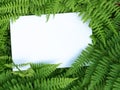 Blank white paper on a green leaves. Top view Royalty Free Stock Photo