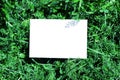 Blank white paper on a green leaves. Top view Royalty Free Stock Photo