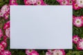 Blank White Paper in Natural Environment Surrounded With Flowers Royalty Free Stock Photo