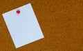 Blank white paper note pinned to a cork board Royalty Free Stock Photo