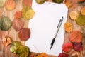 Blank paper sheet and pencil on a wooden surface with autumn leaves Royalty Free Stock Photo