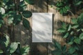 Blank white paper on a wooden background with green leaves and shadows Royalty Free Stock Photo