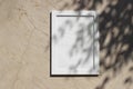 Blank white picture frame against beige marble background in sunlight. Dark tree leaves, branches silhouettes overlay