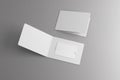 Blank white plastic card mockup inside paper booklet holder, 3d rendering.