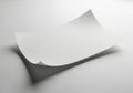 A blank white sheet of paper curls upwards casting a soft shadow on a light background Royalty Free Stock Photo