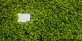 Blank sign in a hedge Royalty Free Stock Photo