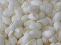 Blank White Silk Cocoons Royalty Free Stock Photo