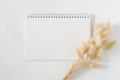 Blank white spiral notebook with natural dried bunny tail grass bouquet on white background. Top view image.