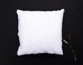 Blank white square cushion on an clear black background with flowers Royalty Free Stock Photo