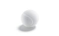 Blank white tennis ball mock up, side view