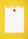 The Blank white torn paper note with push pin on yellow board background Royalty Free Stock Photo