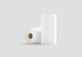 Blank white two paper towel mockup stand and lying