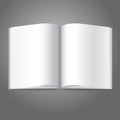 Blank white vector opened book, magazine or photo Royalty Free Stock Photo