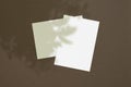 Blank white vertical paper sheet 5x7 inches with tree shadow overlay. Modern and stylish greeting card or wedding invitation mock