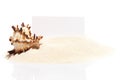 Blank white visit card with sea shell on beach sand Royalty Free Stock Photo