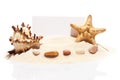 Blank white visit card, starfish, seashell and stones on sand Royalty Free Stock Photo