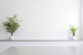 Blank white wall mockup in minimalist kitchen interior