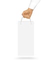 Blank white wine paper bag mock up holding in hand. Empty