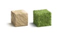 Blank wood and grass surface cube mockup set