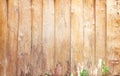 Blank wood wall background in vertical patterns with nature green plant on background Royalty Free Stock Photo