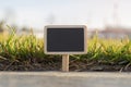 Blank wooden blackboard label in front of grass background Royalty Free Stock Photo
