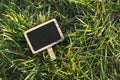 Blank wooden blackboard label in grass background Royalty Free Stock Photo