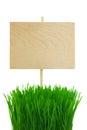 Blank wooden Sign with green Grass / isolated Royalty Free Stock Photo