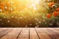 blank wooden table with sunshine orange trees as background