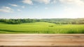 blank wooden table top with blur green meadow view for organic product advertising background. generative AI