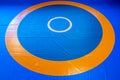 Blank wrestling mat template with text space for customization