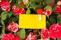 Blank yellow greeting card on spray red roses bouquet. Space for text. Copy space. Top view. Close-up.