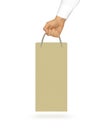 Blank yellow wine paper bag mock up holding in hand. Empty plast