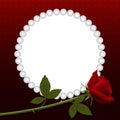 Blank for your design. Red rose on a dark background, and the frame with pearls.ion. Royalty Free Stock Photo