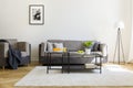 Blanket on armchair next to grey sofa in bright living room inte Royalty Free Stock Photo