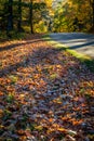 A blanket of colorful leaves cover the roadside of the blue ridge parkway in autumn Royalty Free Stock Photo