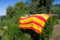 Blanket drying outside